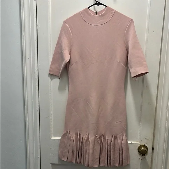Ted Baker | Dresses | Ted Baker Pink Pleated Mini Dress With Mock Neck